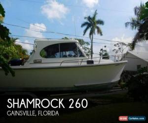 Classic 1985 Shamrock 260 for Sale