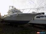 Chris Craft 322 house boat live aboard on scenic mooring for Sale