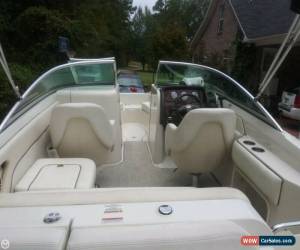 Classic 2008 Sea Ray 210 Sundeck for Sale