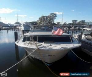 Classic 1966 Chris-Craft 31 Commander for Sale