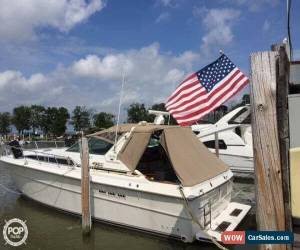 Classic 1986 Sea Ray 390 Express for Sale