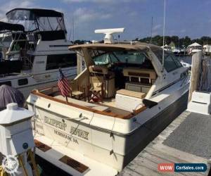 Classic 1986 Sea Ray 390 Express for Sale