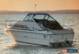 Classic 1982 Sea Ray for Sale