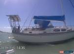sail boat yacht for Sale
