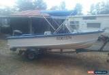 Classic 14 ft Haines Hunter 50 Hp Mercury outboard for Sale