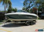 2005 Sea Ray 200 Select for Sale