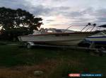 savage boat 17ft Qld for Sale