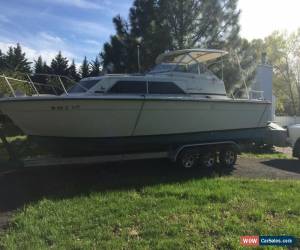 Classic 1977 Chris Craft for Sale