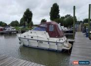 Allure 245 River Cruiser for Sale