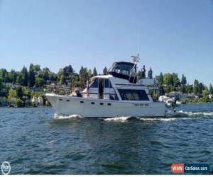 Classic 1991 Bayliner 4588 Pilothouse for Sale