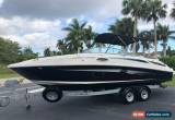Classic 2011 Sea Ray 260 Sundeck for Sale