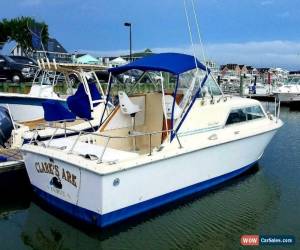 Classic 1974 Chris Craft Express Cruise for Sale