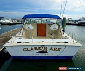Classic 1974 Chris Craft Express Cruise for Sale