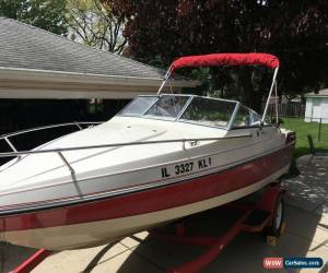 Classic 1988 Wellcraft Classic 192 for Sale