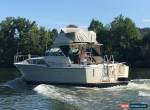 1969 Chris Craft Ford 351w for Sale