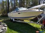 1981 Sea Ray 210 for Sale