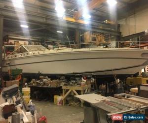Classic 1989 Cary for Sale