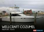 1988 Wellcraft Cozumel for Sale