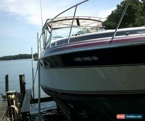 Classic 1988 Wellcraft St Tropez for Sale