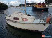 Fibreglass Sailing Boat  - Endeavour 24 for Sale