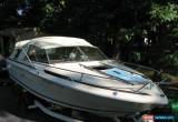 Classic 1983 Sea Ray for Sale