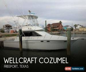 Classic 1988 Wellcraft Cozumel for Sale
