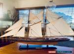 Sailing boat for Sale