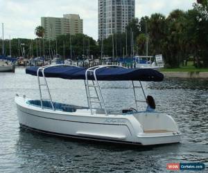 Classic 2009 Vision 240 Electric for Sale