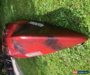 Classic Perception Triumph 13 Kayak Sit on Top Canoe # Provisionally Sold on 18th Aug #. for Sale