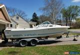 Classic 1988 Seahawk for Sale