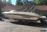 Classic 1998 Sea Ray 260 Sundeck for Sale