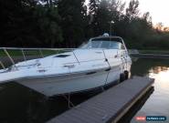 1995 Sea Ray 330 for Sale