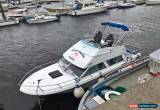 Classic bayliner 2550 saragosa fly bridge diesel project for Sale