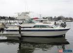 84 Chris Craft 291 for Sale