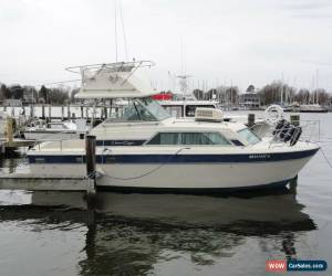 Classic 84 Chris Craft 291 for Sale