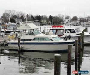 Classic 84 Chris Craft 291 for Sale