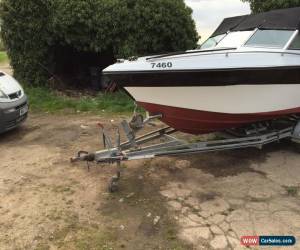 Classic Wellcraft scrab 210XL ELITE (PROJECT) for Sale