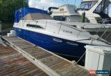 Classic 1984 Sea Ray for Sale