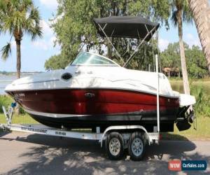 Classic 2006 Sea Ray 240 Sundeck for Sale