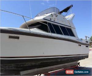 Classic 1988 Bayliner 2850 for Sale