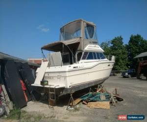 Classic 1986 Searay 300 for Sale