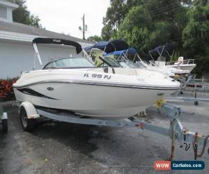 Classic 2012 Sea Ray 190 Sport for Sale
