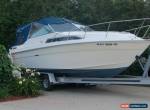 1982 Sea Ray 270 SV for Sale