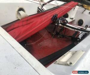 Classic Tasar Sailing Dinghy Hull Number 771 for Sale