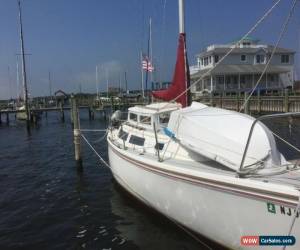 Classic 1987 Catalina 25 for Sale