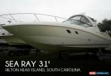 Classic 2009 Sea Ray 310 Sundancer for Sale