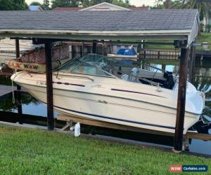 Classic 1996 Sea Ray 215 Express Cruiser for Sale