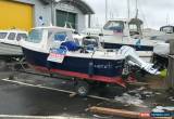 Classic Westport Pilot 4 fishing boat 2017, Honda 20hp 4-stroke for Sale