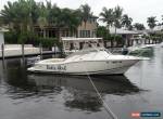 2000 Scout Abaco for Sale