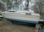 1987 Sea Ray 300 for Sale